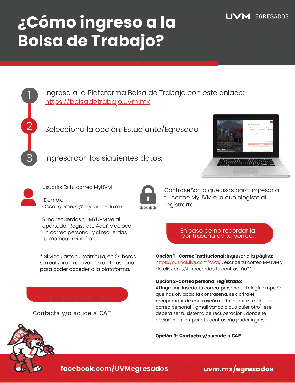 Vacantes Despega Lince Salud página 6